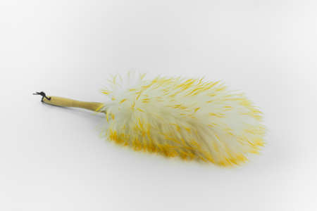 close up color ball toy for kids isolated on white backgroundの写真素材