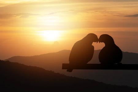 Silhouette of couple birds face to face on mountain sunset lighting background and Valentine's Day. Birds couple on branch on sunset, mountain. Birds silhouettes. Birds in love, Valentine's romantic.の写真素材