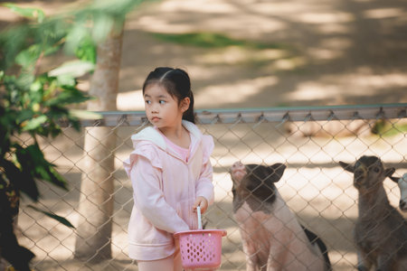 A young girl in a pink sweater stands by a fence, holding a basket, watching pigs playfully. This scene highlights childhood curiosity and the joy of being close to nature.の写真素材