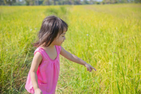 A lovely Thai girl, about three and a half years old in the traditional cloth, is playing happily on the rice field, and it can only be found in the countryside.の写真素材