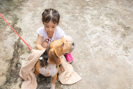 Selective focus shot with copy space of family activity which kid girl is washing her dog with love and kindness shows the friendship between human and animal to take care each other.の写真素材