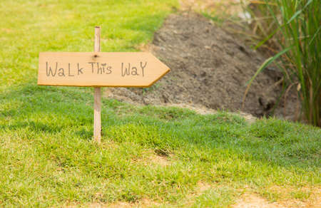 Walk this way sign writing on wooden label sign placing on the lawn in the garden shows concept of guidance, support and coaching for showing path way for success in job and working life.の写真素材