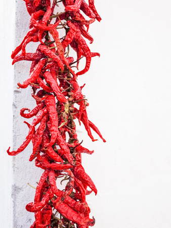 A bunch of dried red peppersの写真素材
