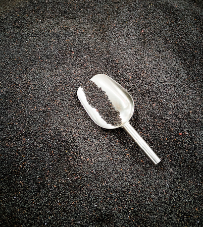 a heap of black riceの写真素材
