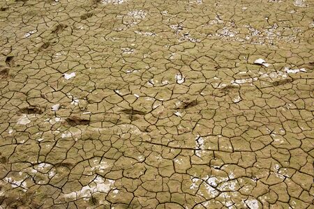 Cracked dry riverbedの写真素材