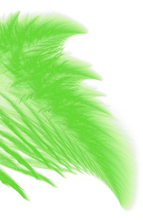 Abstract traceries looking as branch of spruce on snowの写真素材