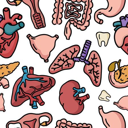 Human internal organs for surgeries and transplantation. Including heart, liver, kidney, uterus, bladder, pancreas; eye, intestines, stomach. Seamless vector pattern.のイラスト素材