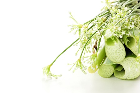 Chive Flowers (Dok Gui Chai) are the flowering tips of chives and are used in stir-fries.の写真素材