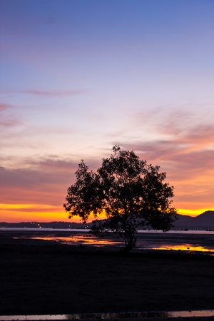 Colorful sky at sunset の写真素材