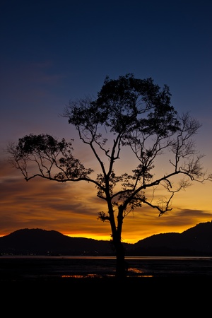 Colorful sky at sunset の写真素材