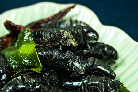 the exotic menu in thailand is fried insect の写真素材