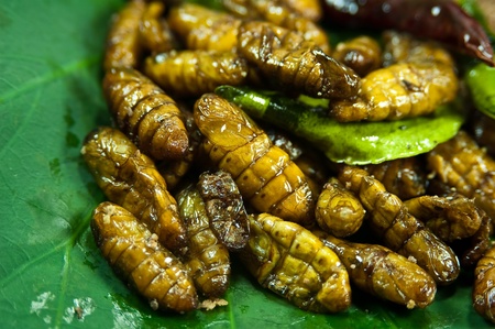 the exotic menu in thailand is fried insect の写真素材