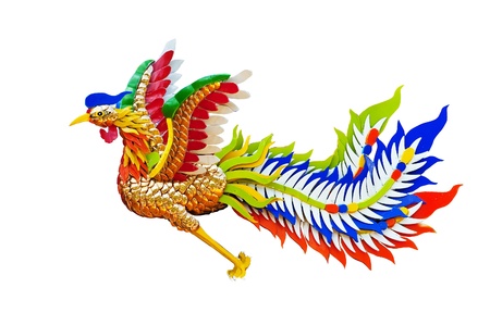 Chinese Phoenix,phuket,thailand の写真素材