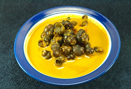 Pond snail curry の写真素材