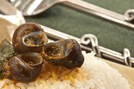 Pond snail curry の写真素材
