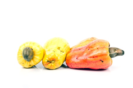 fresh cashew nut の写真素材