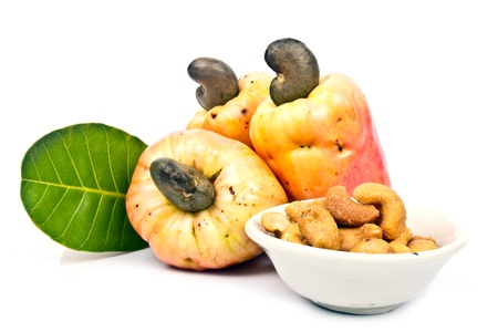 fresh cashew nutの写真素材