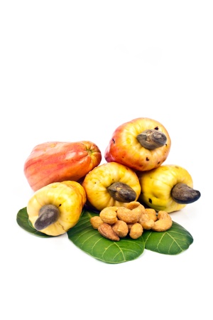 fresh cashew nutの写真素材