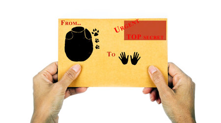 Paper envelope isolated on white background, clipping path の写真素材