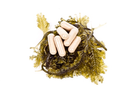 Seaweed is a loose colloquial term encompassing macroscopic, multicellular, benthic marine algaeの写真素材