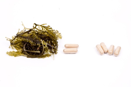 Seaweed is a loose colloquial term encompassing macroscopic, multicellular, benthic marine algaeの写真素材
