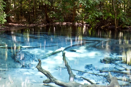 The Emerald Pool, Krabi, Thailandの写真素材