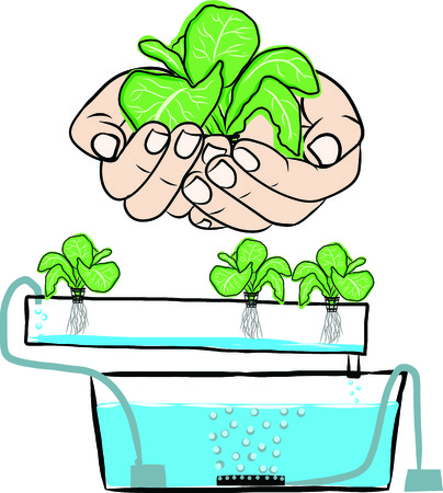 Aquaponics systemのイラスト素材