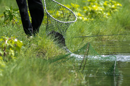 Fisherman with a net catches a fish in the river.