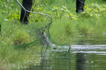 Fishing rod on the lake with green grass in the background.の写真素材