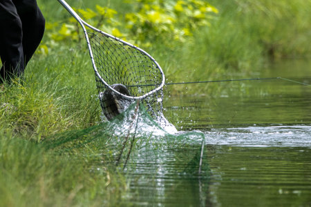 Fisherman with a net catching fish in the lake, closeupの写真素材