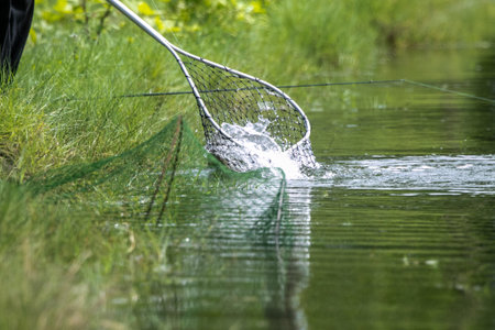 Fisherman with net catching fish on river, close-upの写真素材