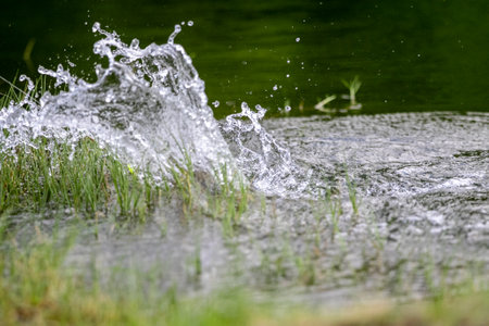 The water surface is broken by the action of the sea bass attacking the lureの写真素材