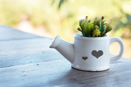 mini watering can planter with small cactusの写真素材
