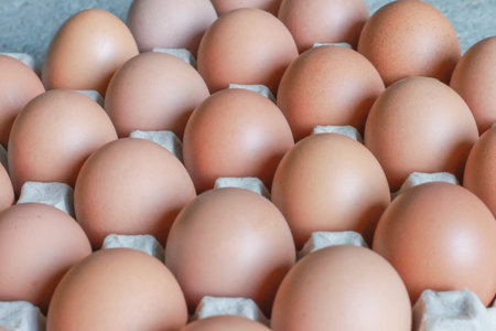 chicken eggs on paper box close up