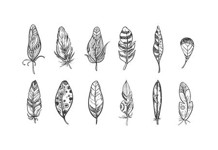 Rustic Ethnic bohemian style feathers. Vector Hand drawn vintage set. Sketch illustration. Vintage Tribal and Decorative feathers.のイラスト素材