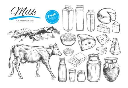 Dairy products vector collection. Cow, milk products, cheese , butter, sour cream, curd, yogurt. Farm foods. Farm landscape with cow. Hand drawn illustration. Isolated objects on whiteのイラスト素材