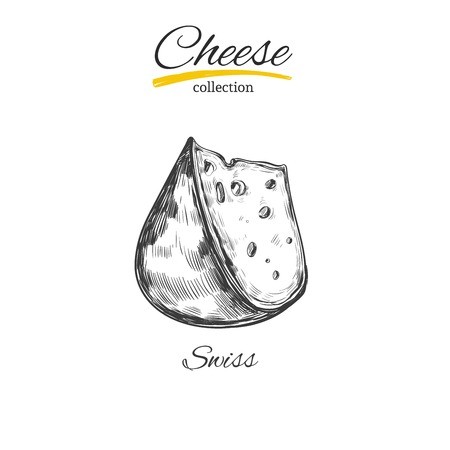 Cheese vector sketch 10のイラスト素材