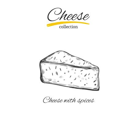 Cheese vector sketch 7のイラスト素材