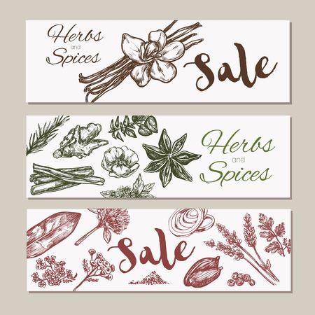 Herbs and spices banners collection. Vector hand drawn illustrationのイラスト素材