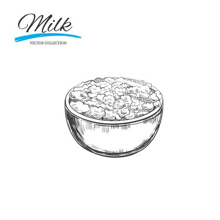 Curd. Vector hand drawn illustration. Dairy productsのイラスト素材