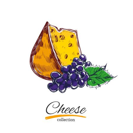 Cheese and grapes. Vector illustration. Colored objects on white background.のイラスト素材