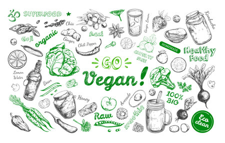Go vegan. Healthy food. Vegetarian Big Set. Vector hand drawn isolated elements on white. Sketch styleのイラスト素材
