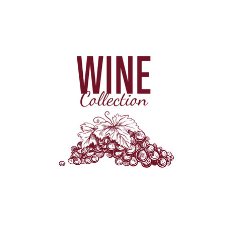 Wine shop label, cover 5のイラスト素材