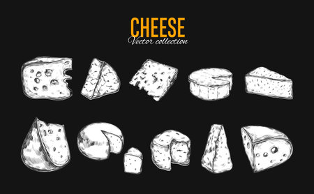 Cheese collection vector illustration.のイラスト素材