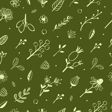 Herbal and floral vector doodle seamless pattern 4の写真素材