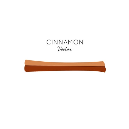 Cinnamon flat style icon. Vector illustrationのイラスト素材