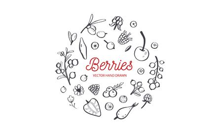 Wild Berries and fruits vector set. Raspberry, Cherry, strawberry, blackberry and other summer harvest. Hand drawn isolated objects on white. Botanical doodleのイラスト素材