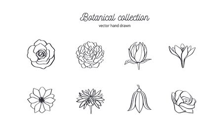 Vector hand drawn set of wild flowers. Roses, peony, anemone and other. Doodle style botanical illustration. Isolated objects on whiteのイラスト素材
