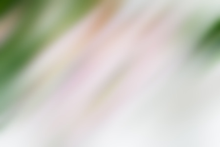 Light abstract gradient motion blurred background. Colorful lines texture wallpaperの写真素材