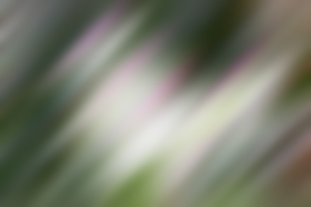 Light abstract gradient motion blurred background. Colorful lines texture wallpaperの写真素材
